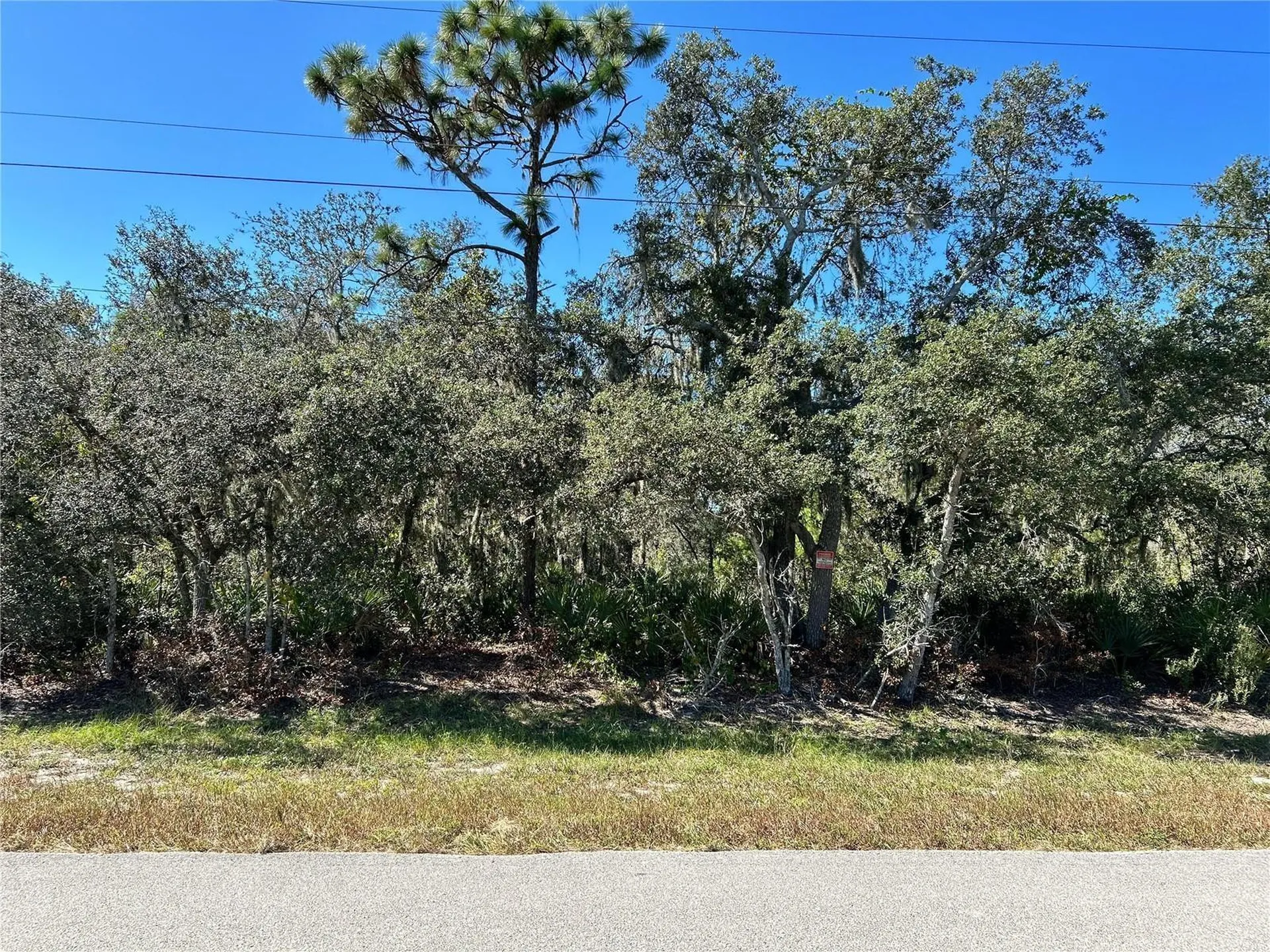 Woodstork Way Frostproof FL 33843