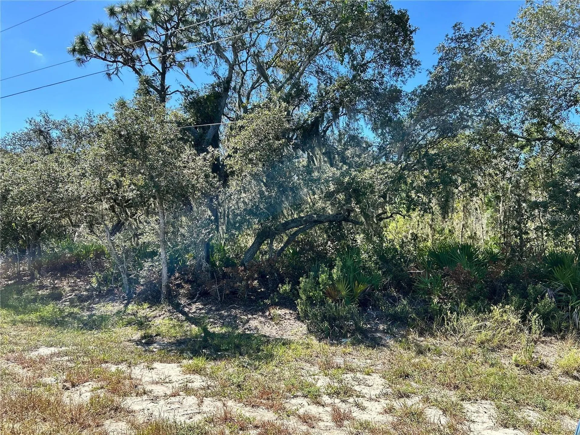 Woodstork Way Frostproof FL 33843