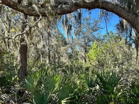 Woodstork Way Frostproof FL 33843