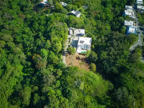 Carr. 115, Km 5.5 Int. Rincon PR 00677