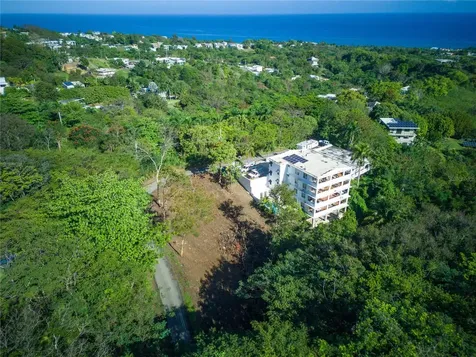 Carr. 115, Km 5.5 Int. Rincon PR 00677