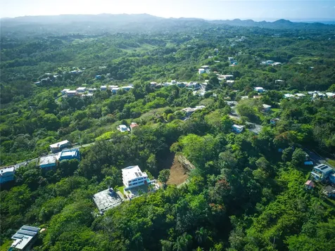 Carr. 115, Km 5.5 Int. Rincon PR 00677