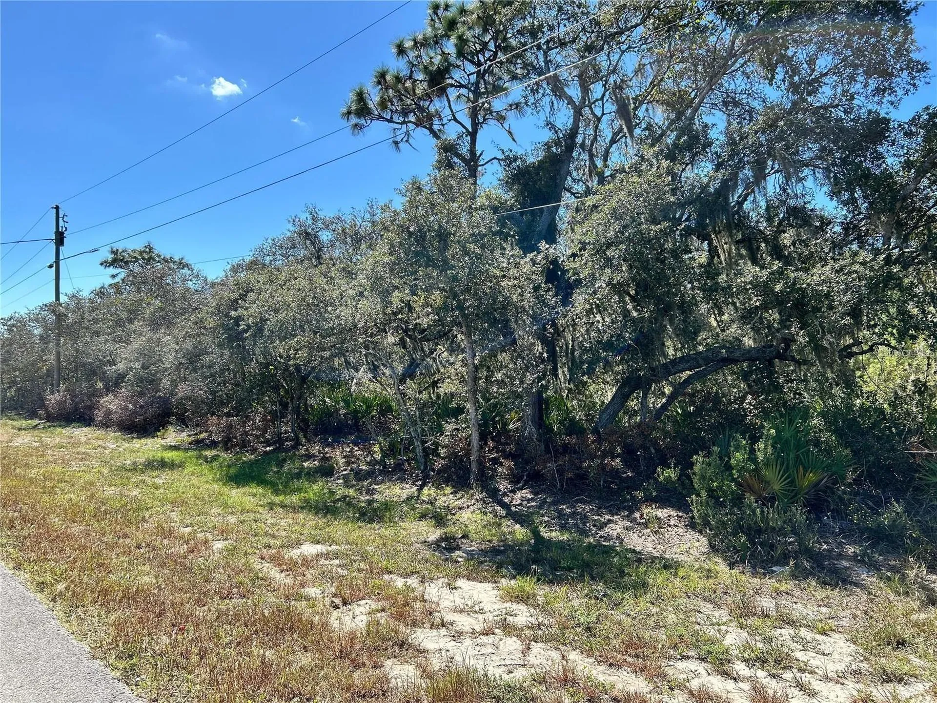 Woodstork Way Frostproof FL 33843