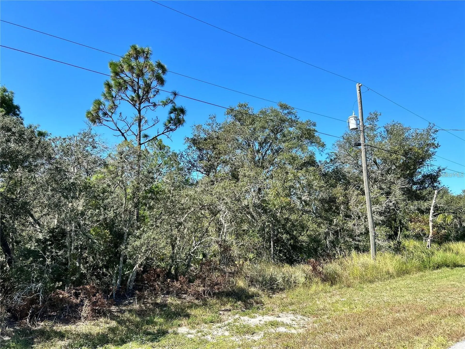 Woodstork Way Frostproof FL 33843