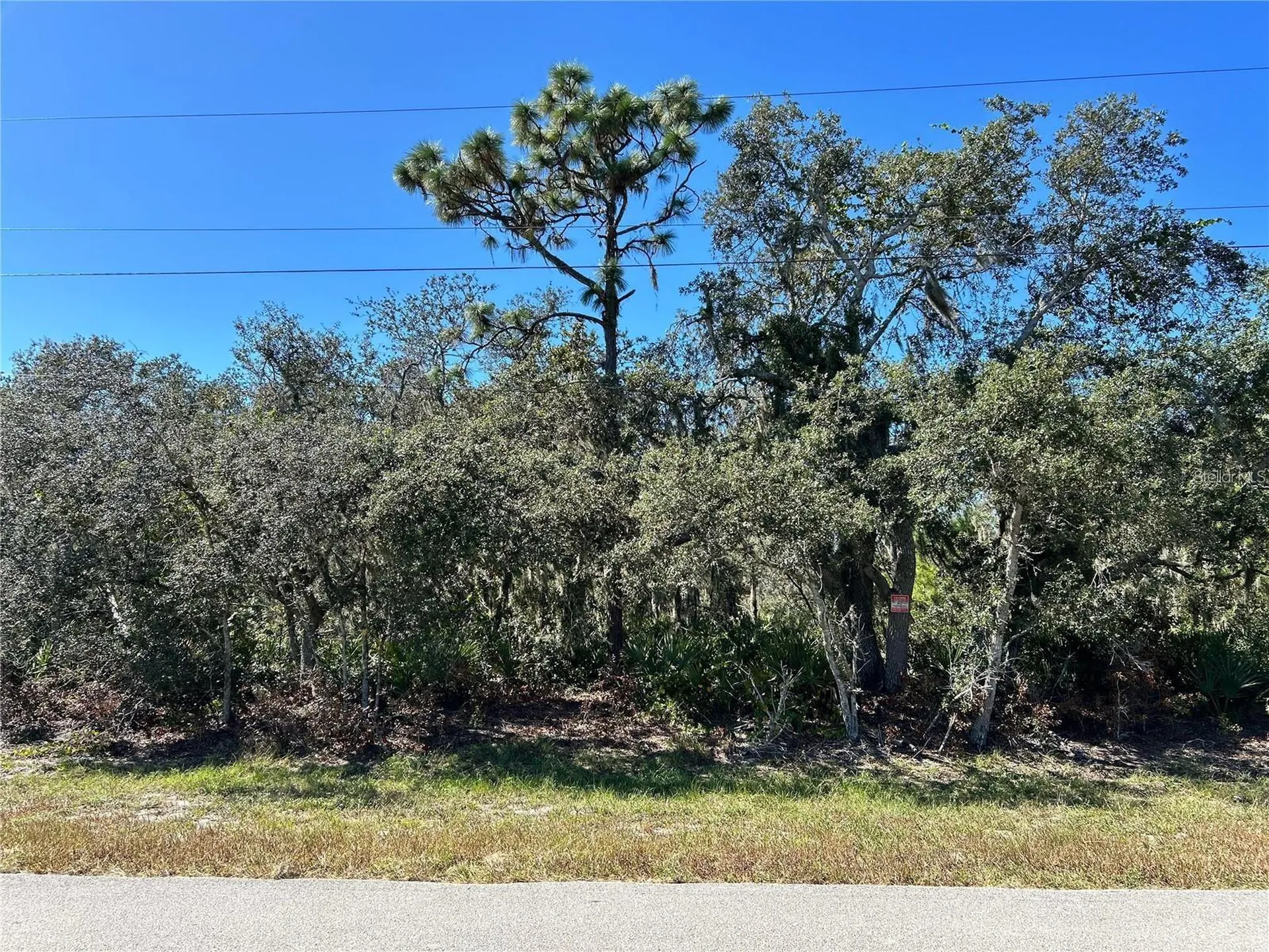 Woodstork Way Frostproof FL 33843