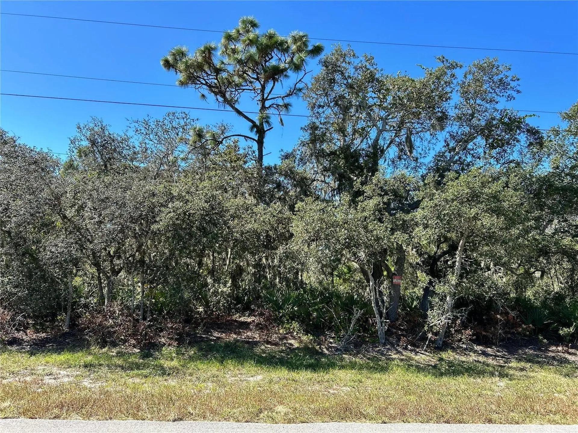Woodstork Way Frostproof FL 33843