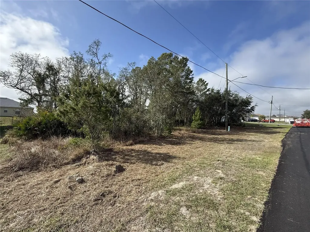 216 Elm Court Poinciana FL 34759