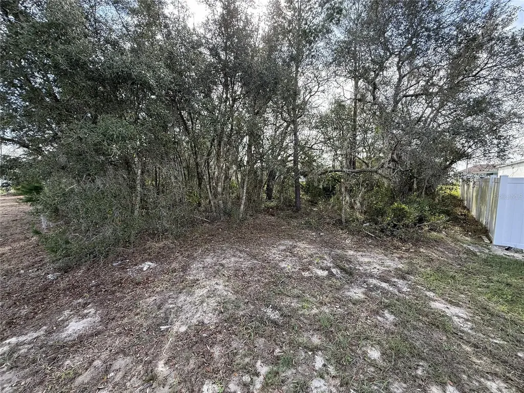 216 Elm Court Poinciana FL 34759