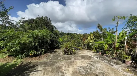 Sr 914 Intl Lot 7 Tejas Ward Sect Asturianas Humacao PR 00791