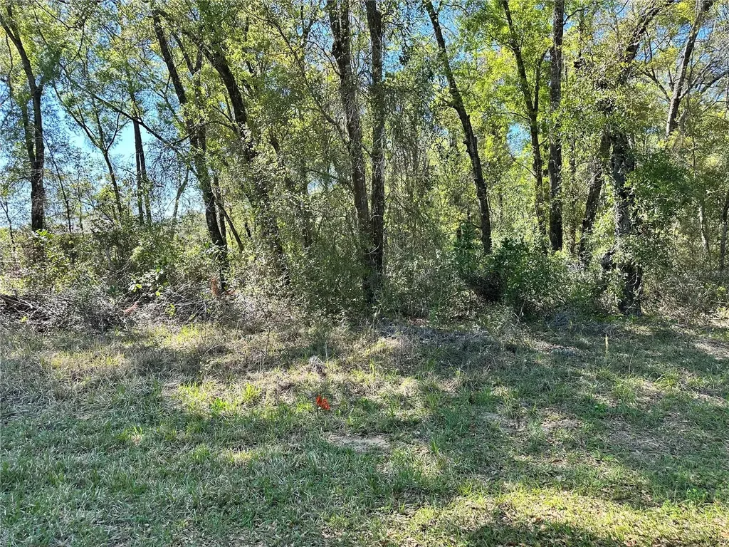 446 N Fitzpatrick Avenue Inverness FL 34453