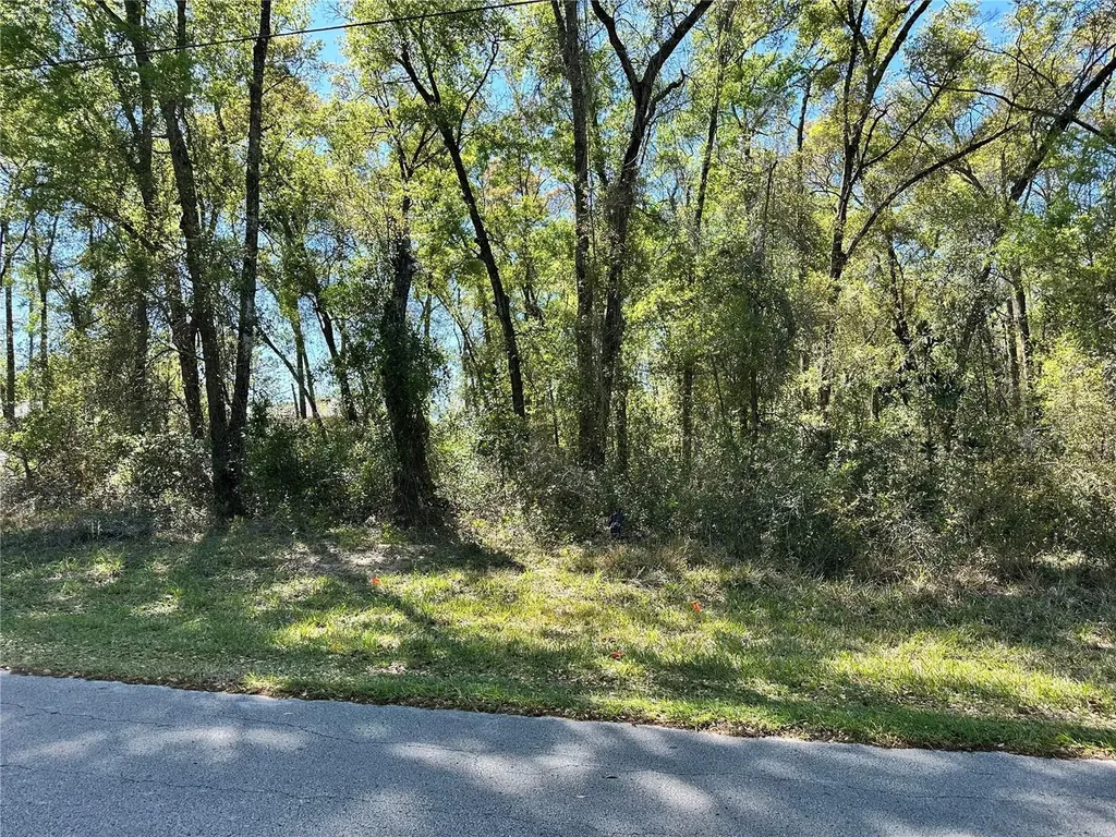 446 N Fitzpatrick Avenue Inverness FL 34453