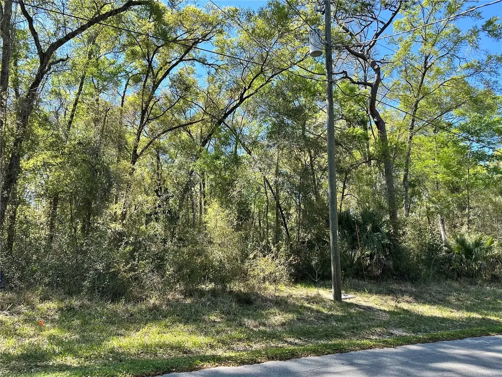 446 N Fitzpatrick Avenue Inverness FL 34453