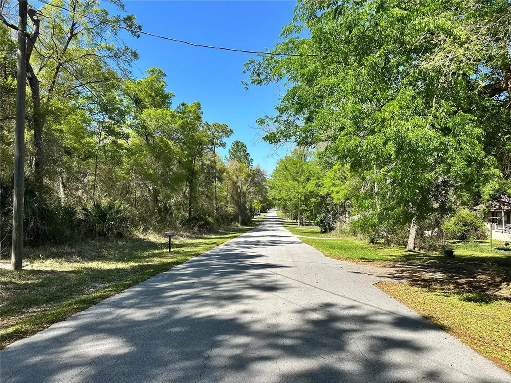 446 N Fitzpatrick Avenue Inverness FL 34453