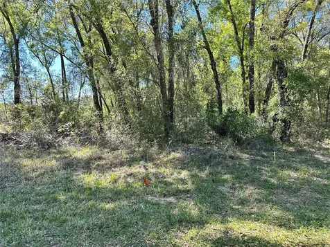 446 N Fitzpatrick Avenue Inverness FL 34453
