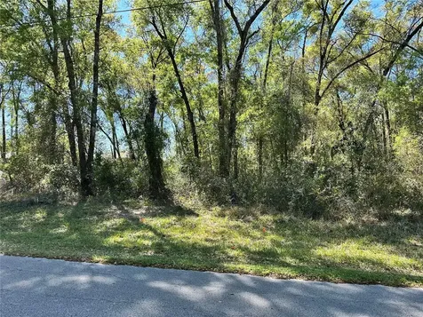 446 N Fitzpatrick Avenue Inverness FL 34453