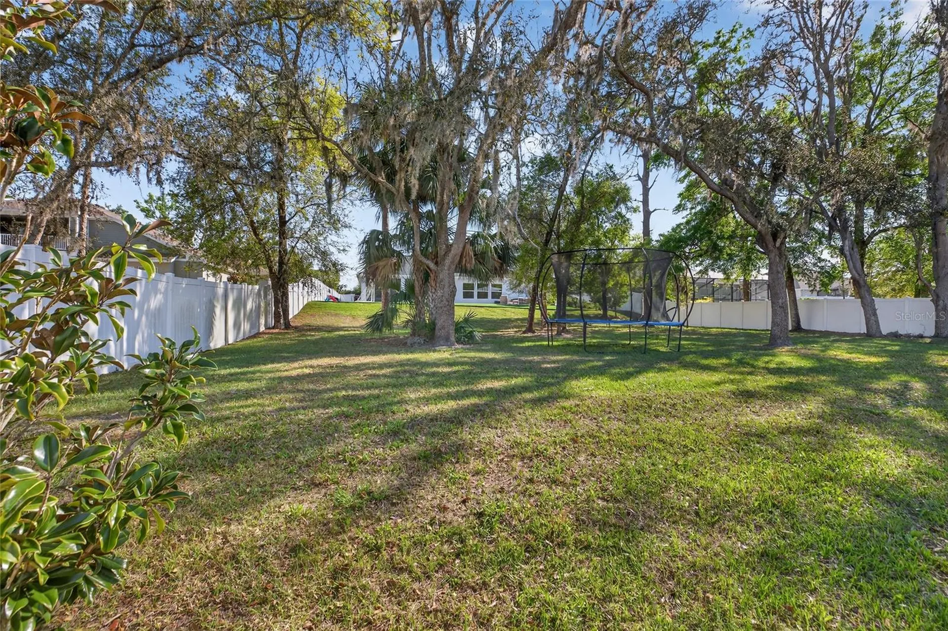 3188 Brown Brocket Lane Lutz FL 33559