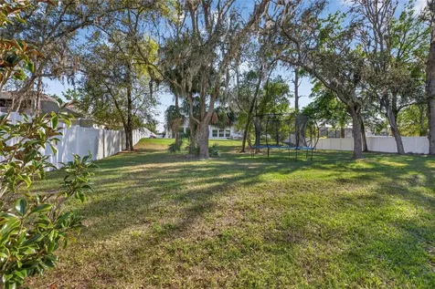 3188 Brown Brocket Lane Lutz FL 33559