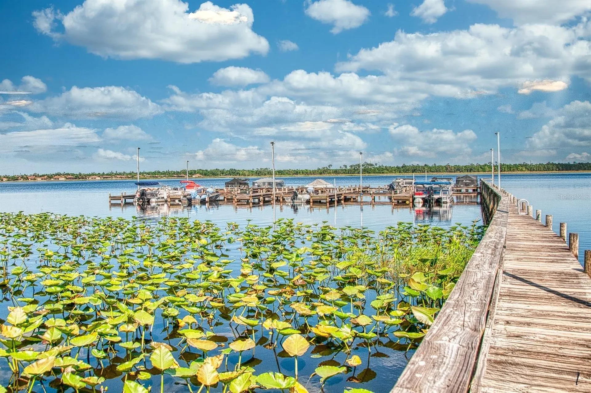 4201 Berwick Drive Lake Wales FL 33859