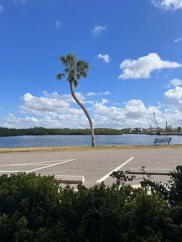 611 Destiny Drive Ruskin FL 33570