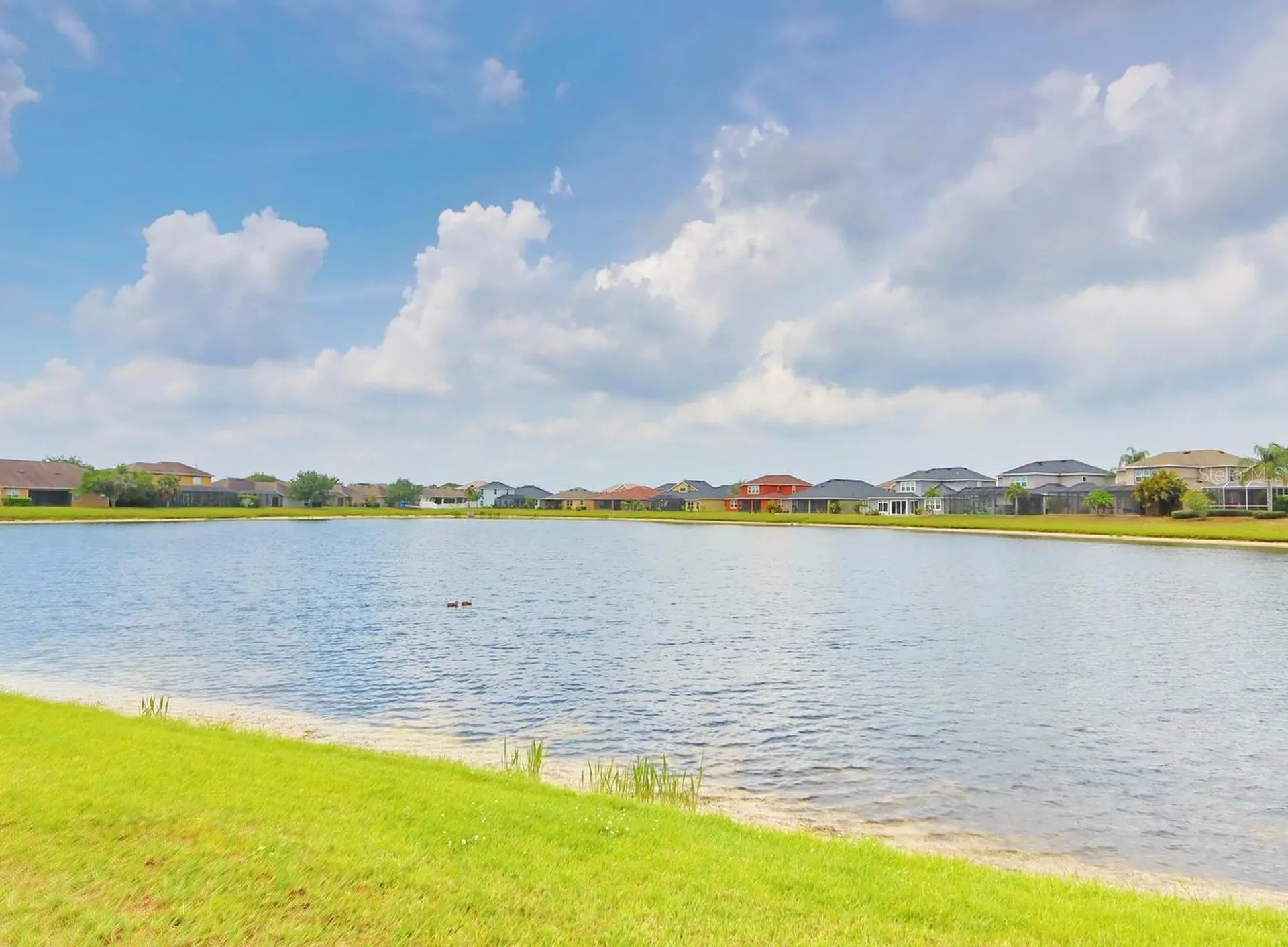 13714 Artesa Bell Drive Riverview FL 33579