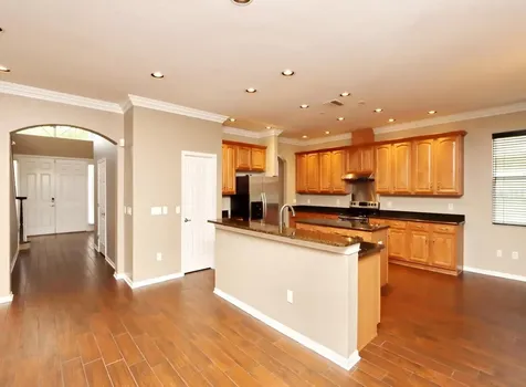 13714 Artesa Bell Drive Riverview FL 33579