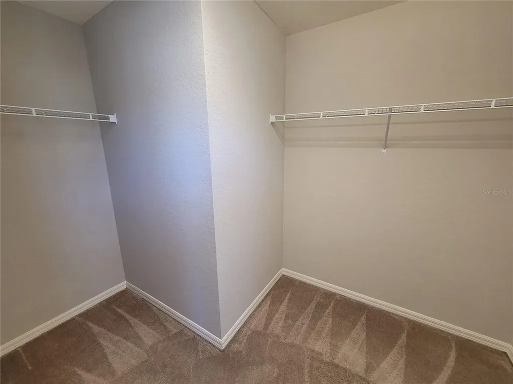 27542 Desert Willow Way Wesley Chapel FL 33544