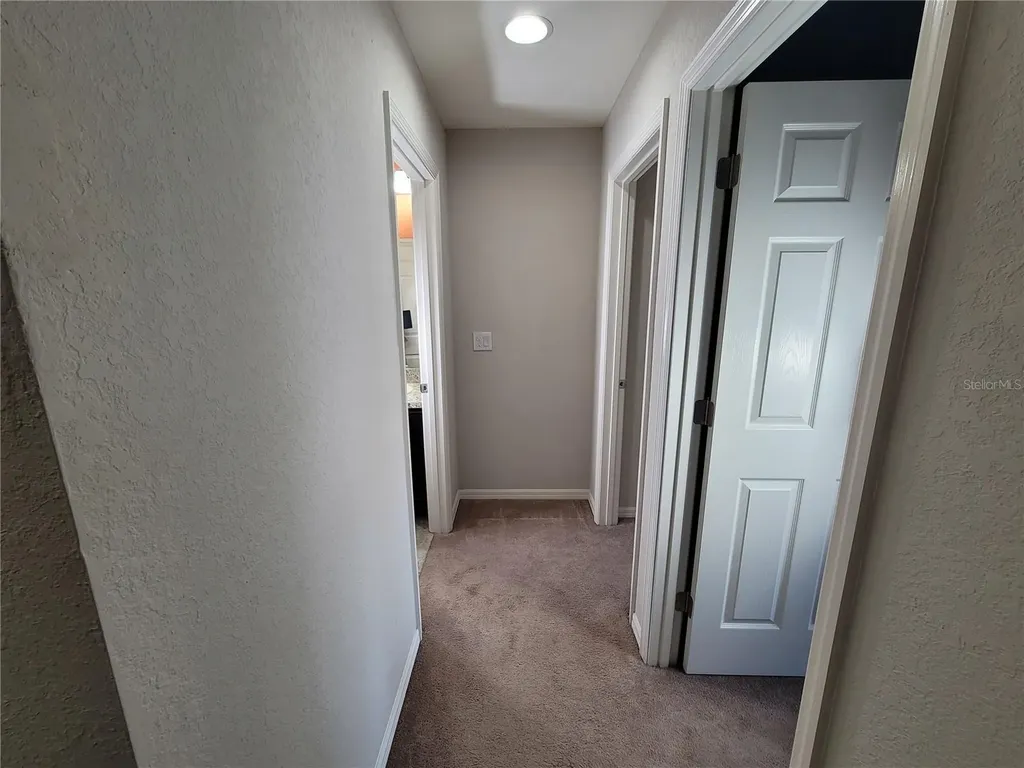 27542 Desert Willow Way Wesley Chapel FL 33544