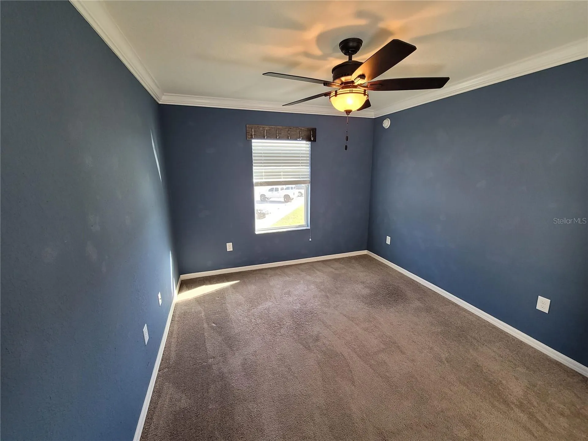 27542 Desert Willow Way Wesley Chapel FL 33544