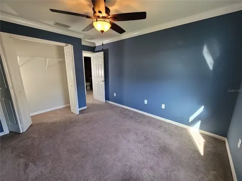27542 Desert Willow Way Wesley Chapel FL 33544