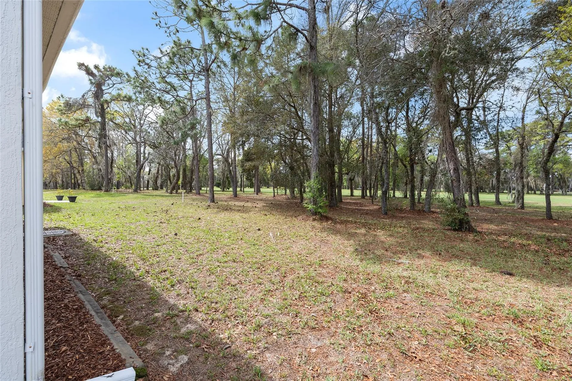 11719 SW 72nd Circle Ocala FL 34476