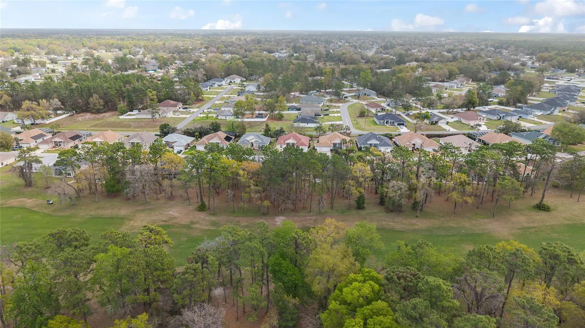 11719 SW 72nd Circle Ocala FL 34476