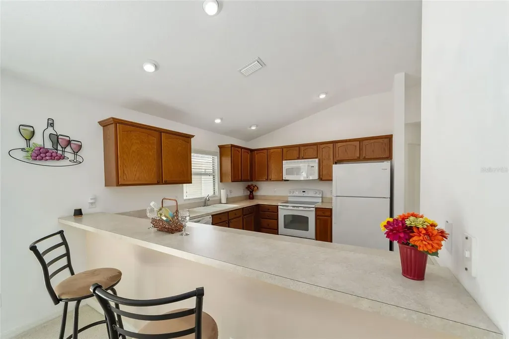 2055 Hydrangea Avenue The Villages FL 32162
