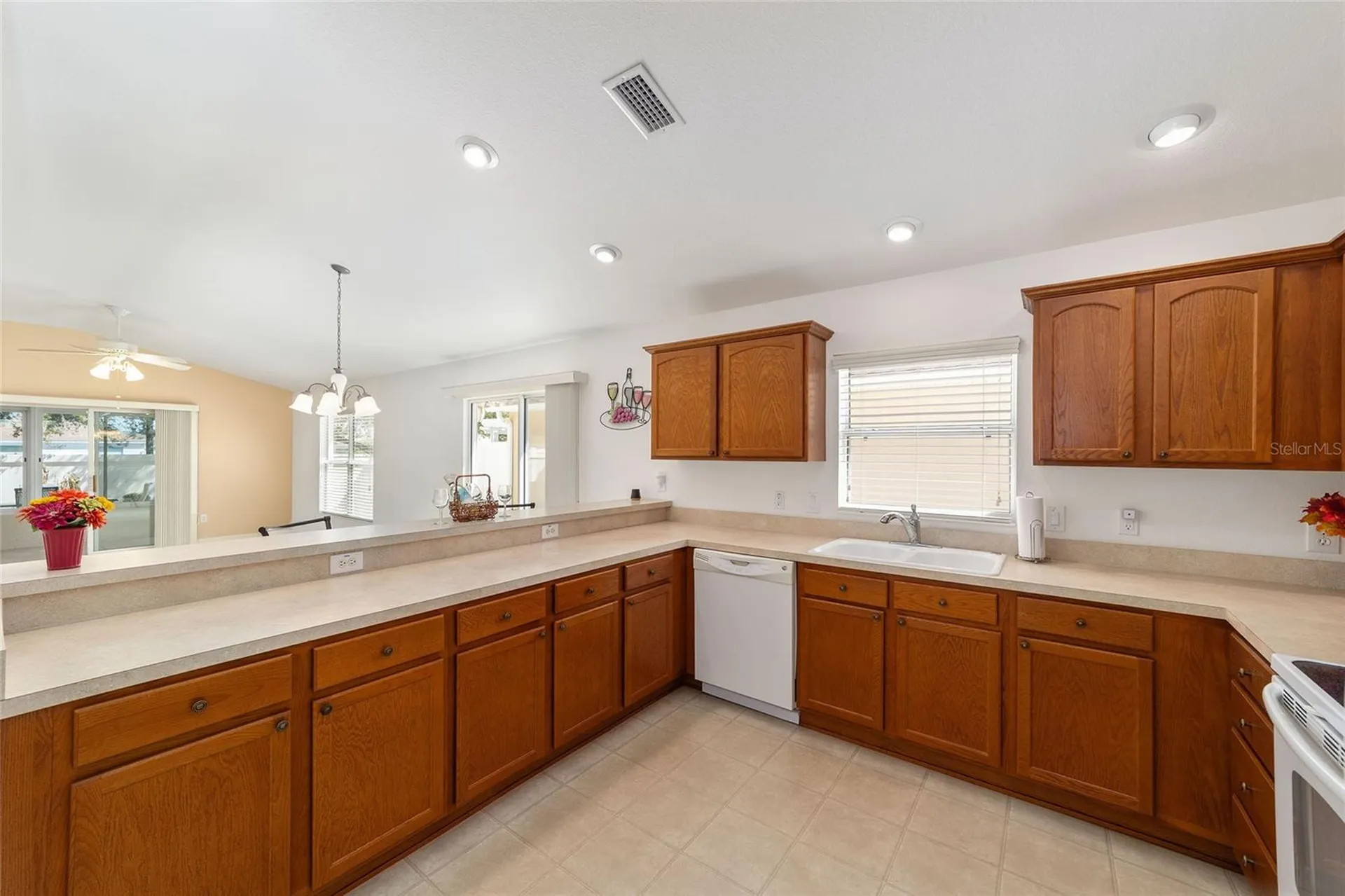 2055 Hydrangea Avenue The Villages FL 32162