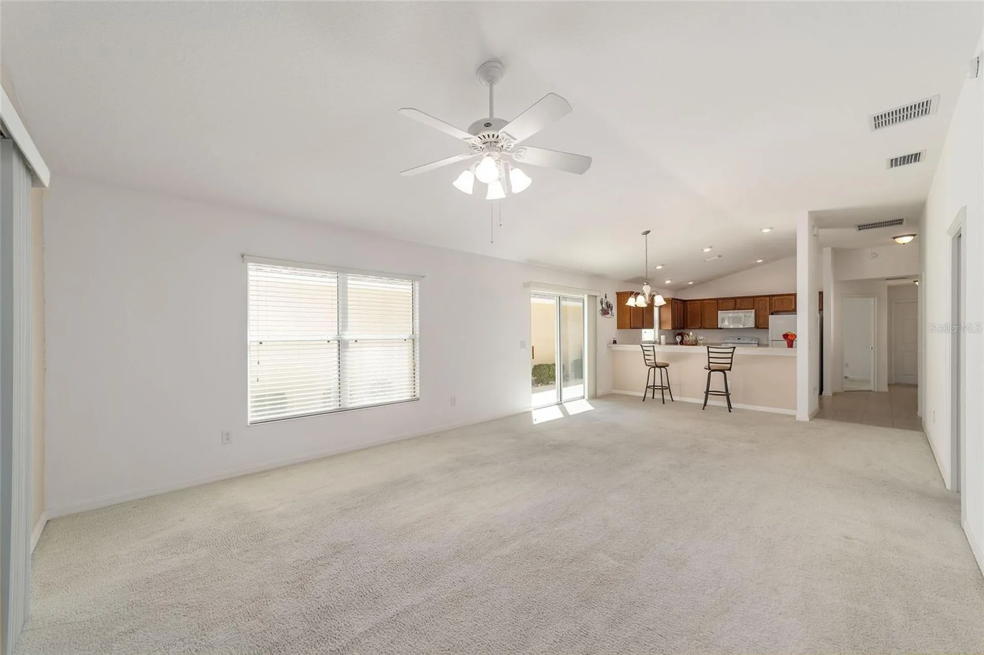 2055 Hydrangea Avenue The Villages FL 32162