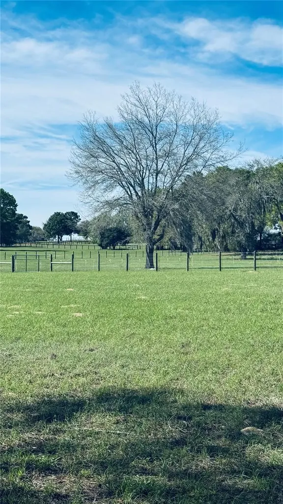 Lot #7 SE 66th Place Morriston FL 32668