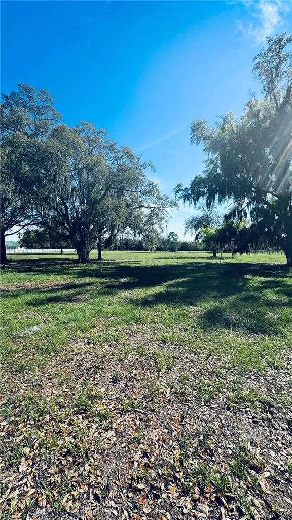 Lot #7 SE 66th Place Morriston FL 32668
