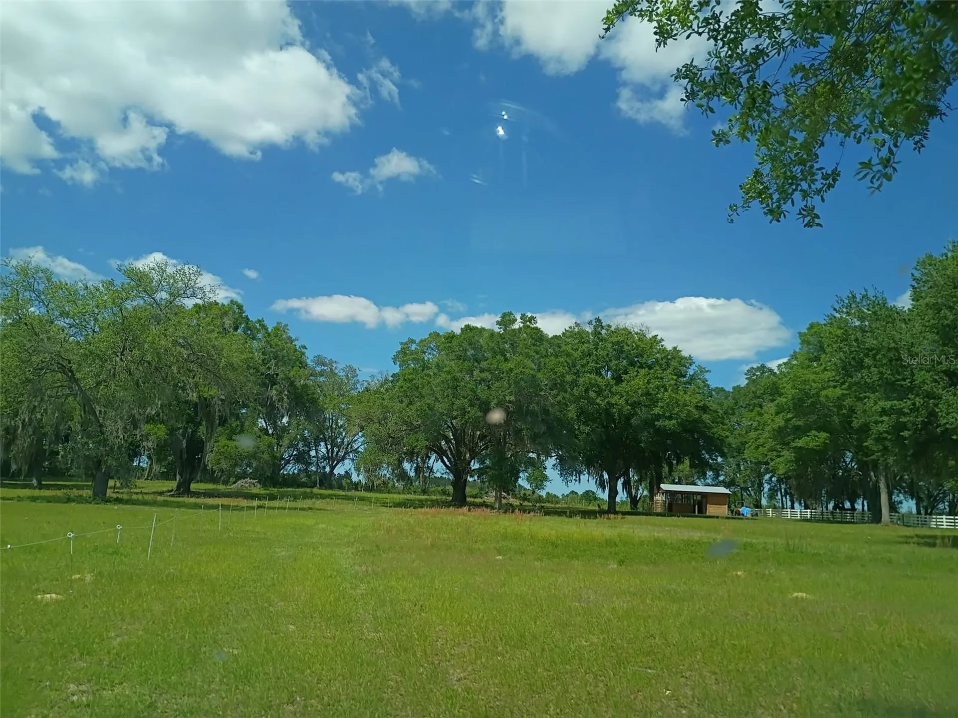 Lot #7 SE 66th Place Morriston FL 32668