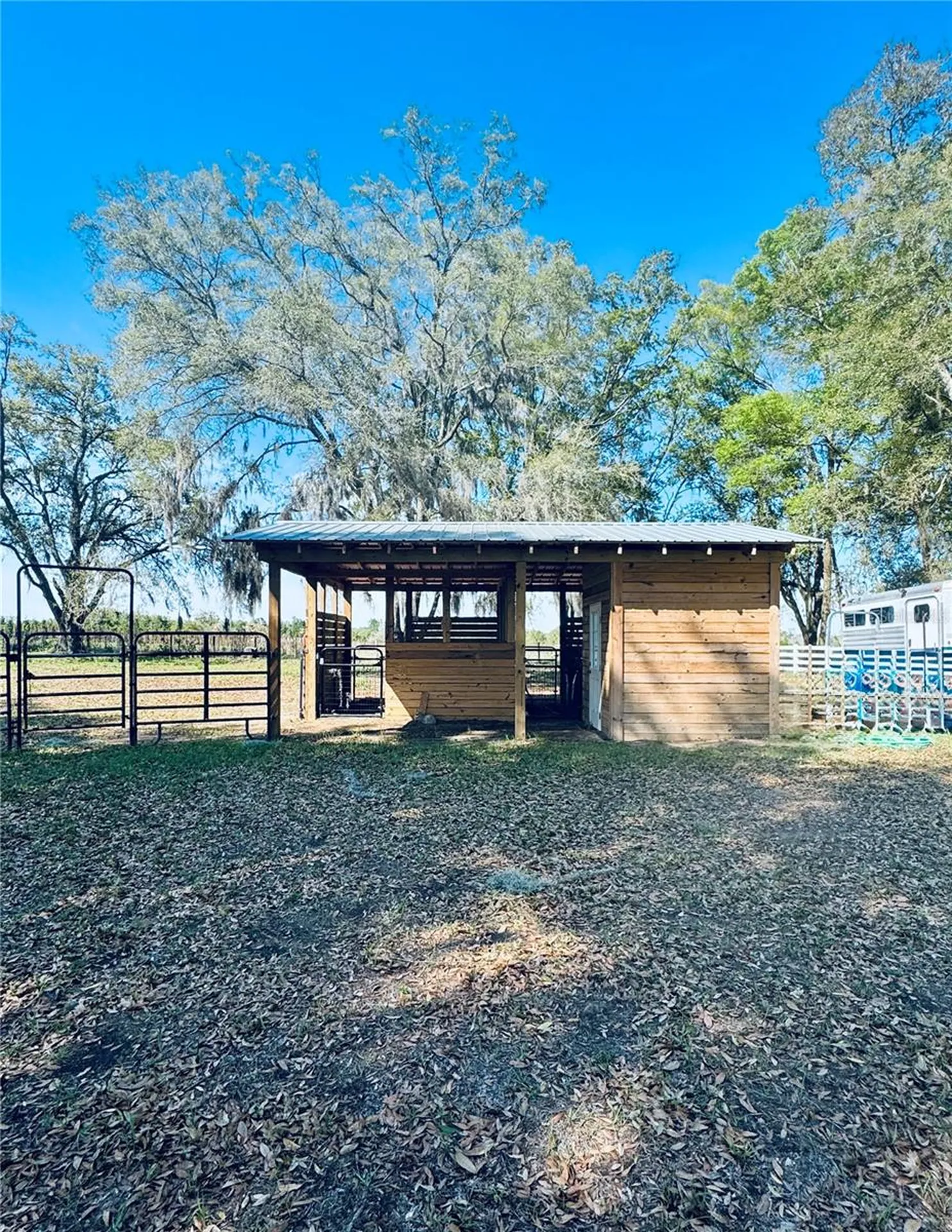 Lot #7 SE 66th Place Morriston FL 32668