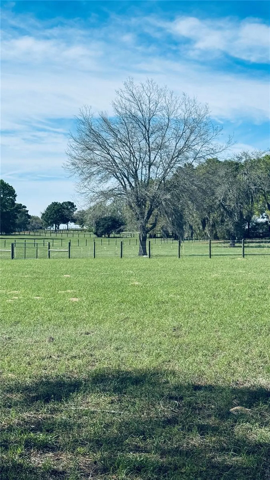 Lot #7 SE 66th Place Morriston FL 32668