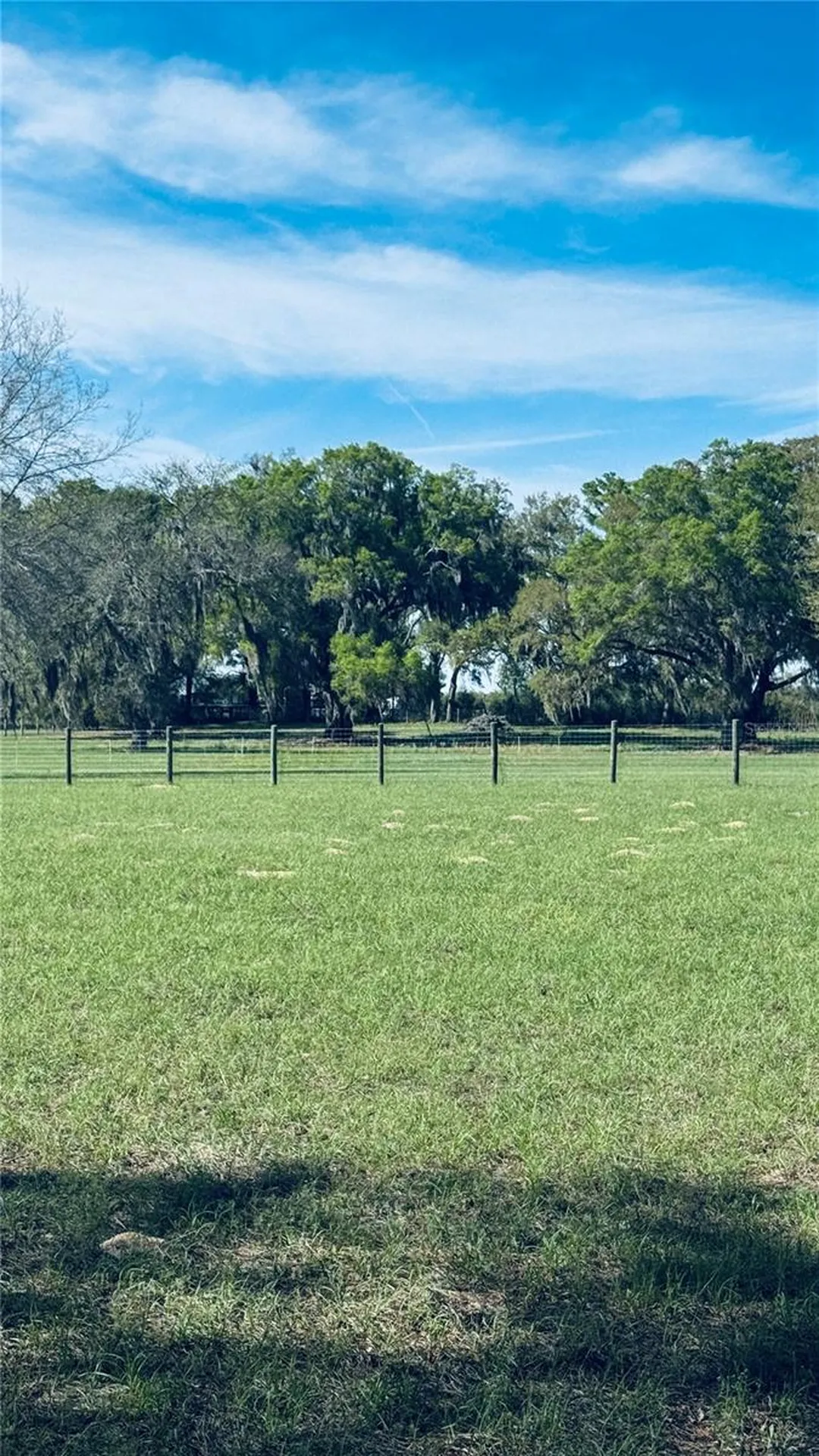 Lot #7 SE 66th Place Morriston FL 32668