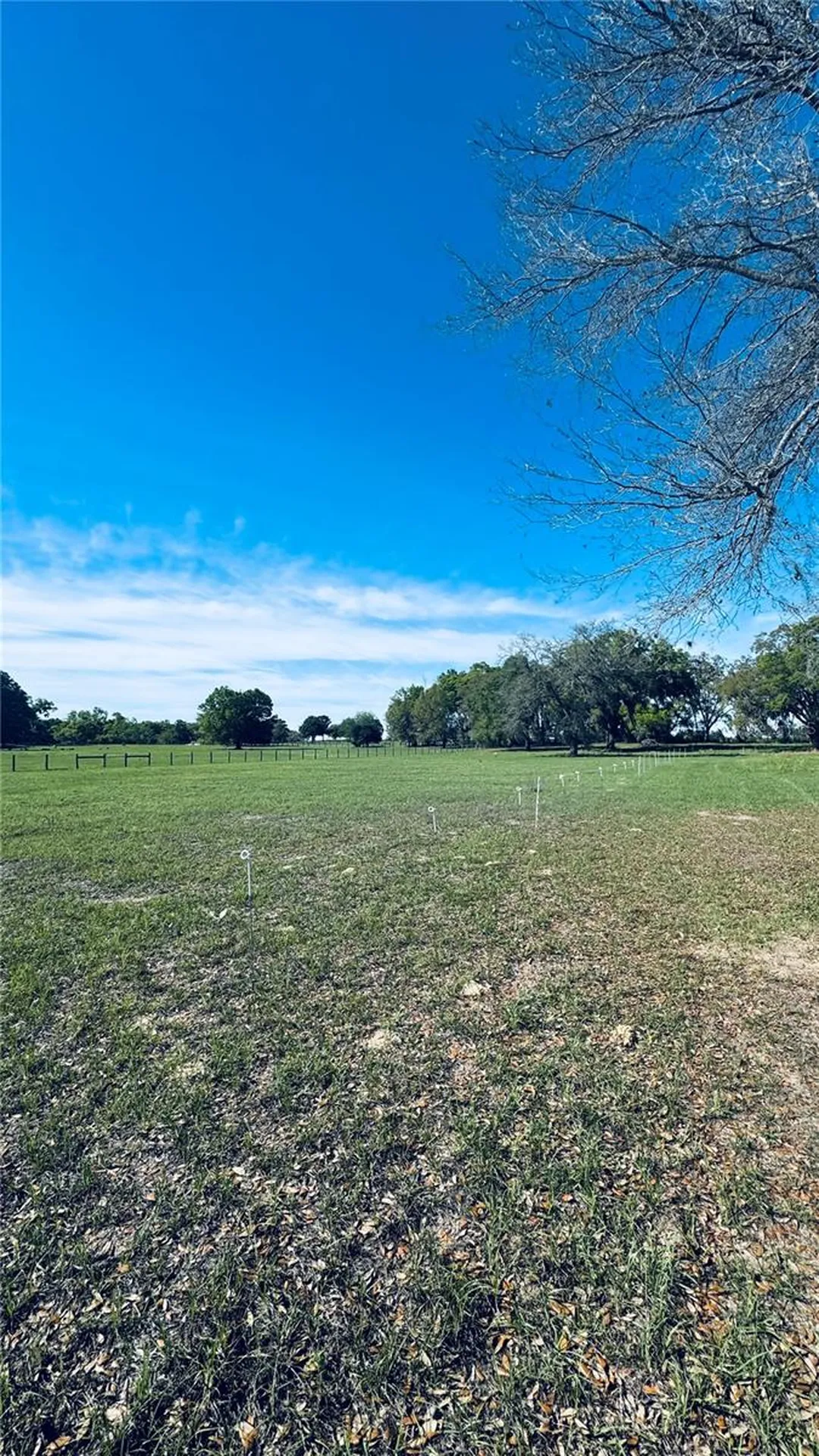 Lot #7 SE 66th Place Morriston FL 32668
