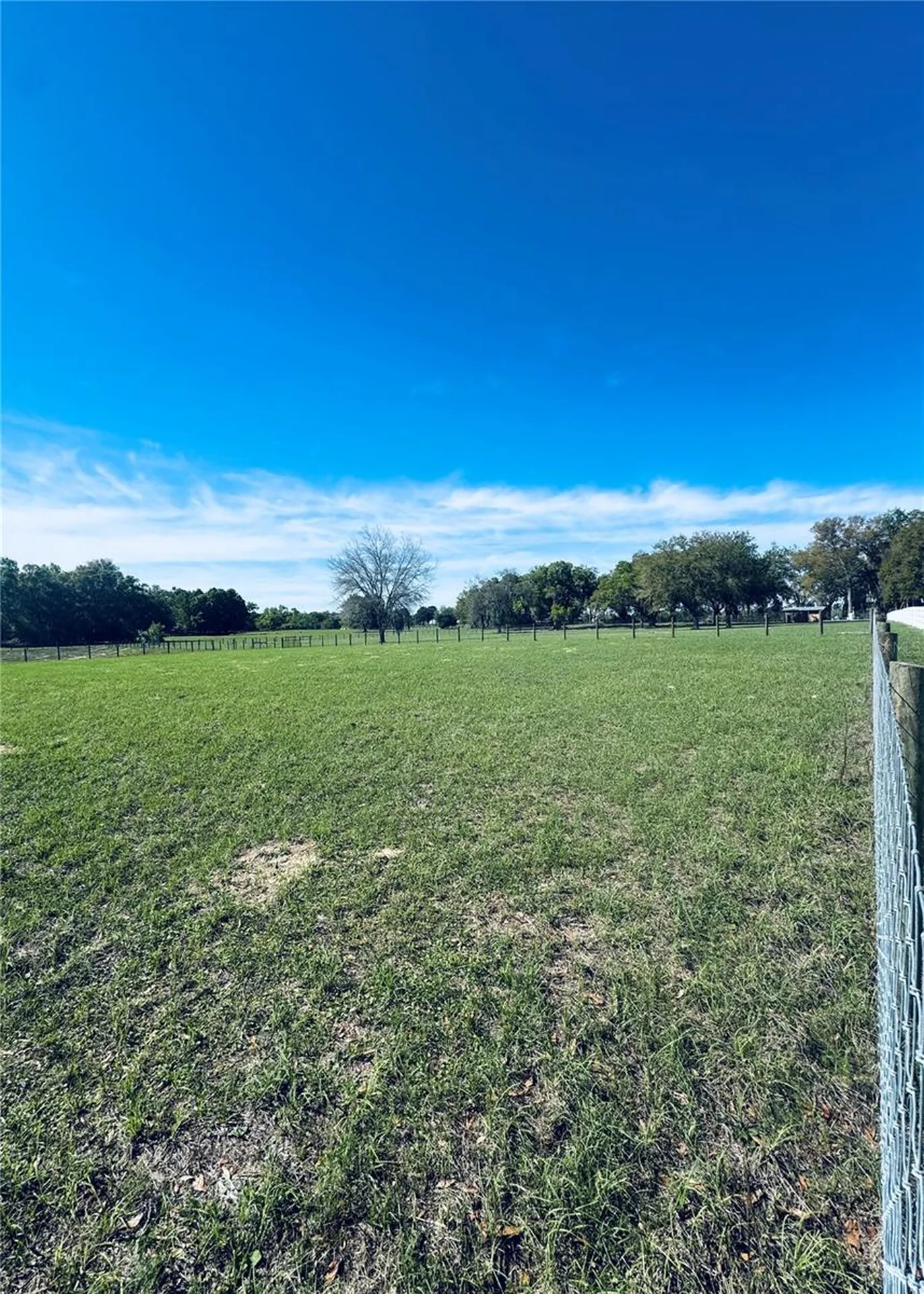 Lot #7 SE 66th Place Morriston FL 32668