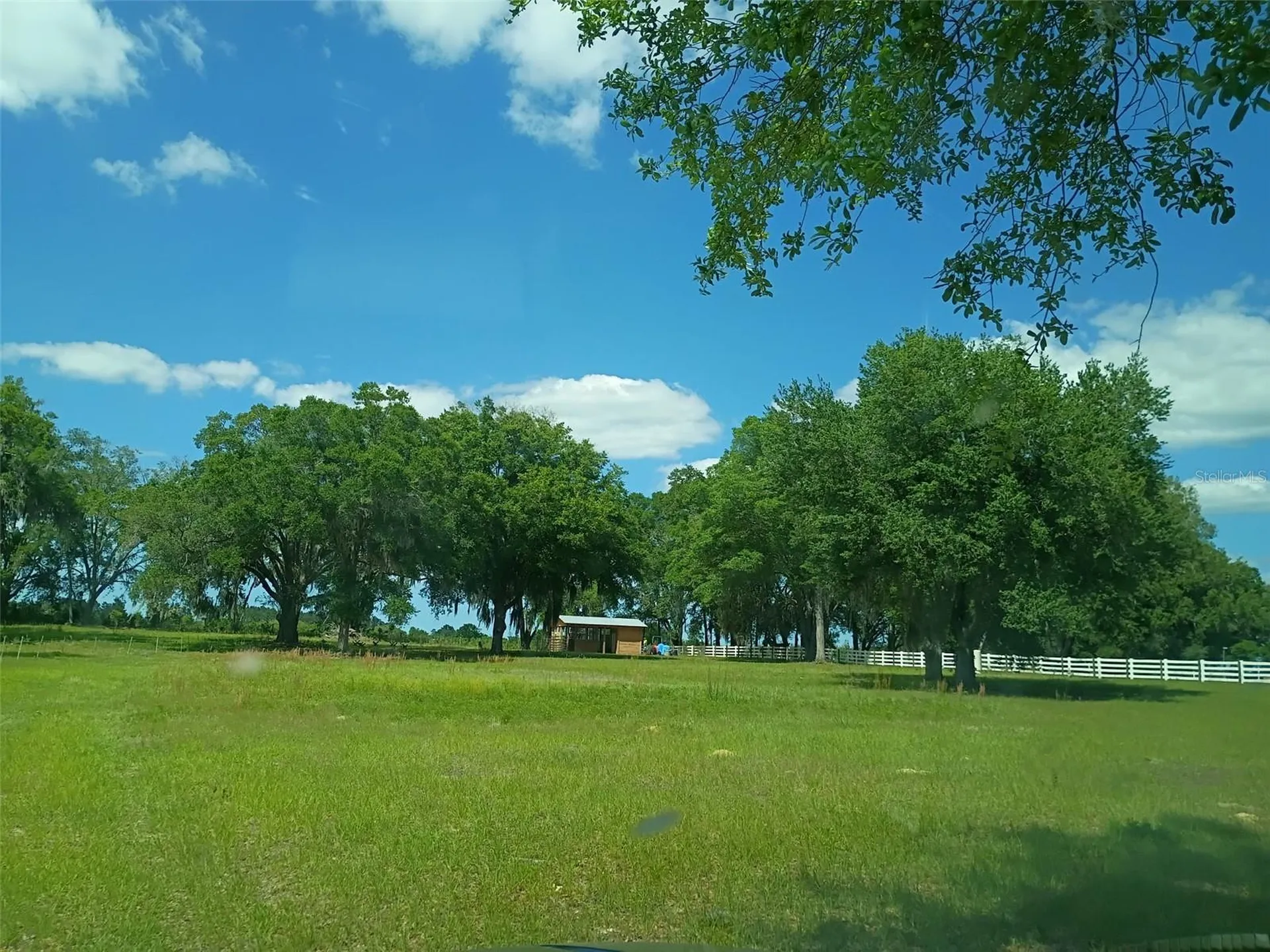 Lot #7 SE 66th Place Morriston FL 32668
