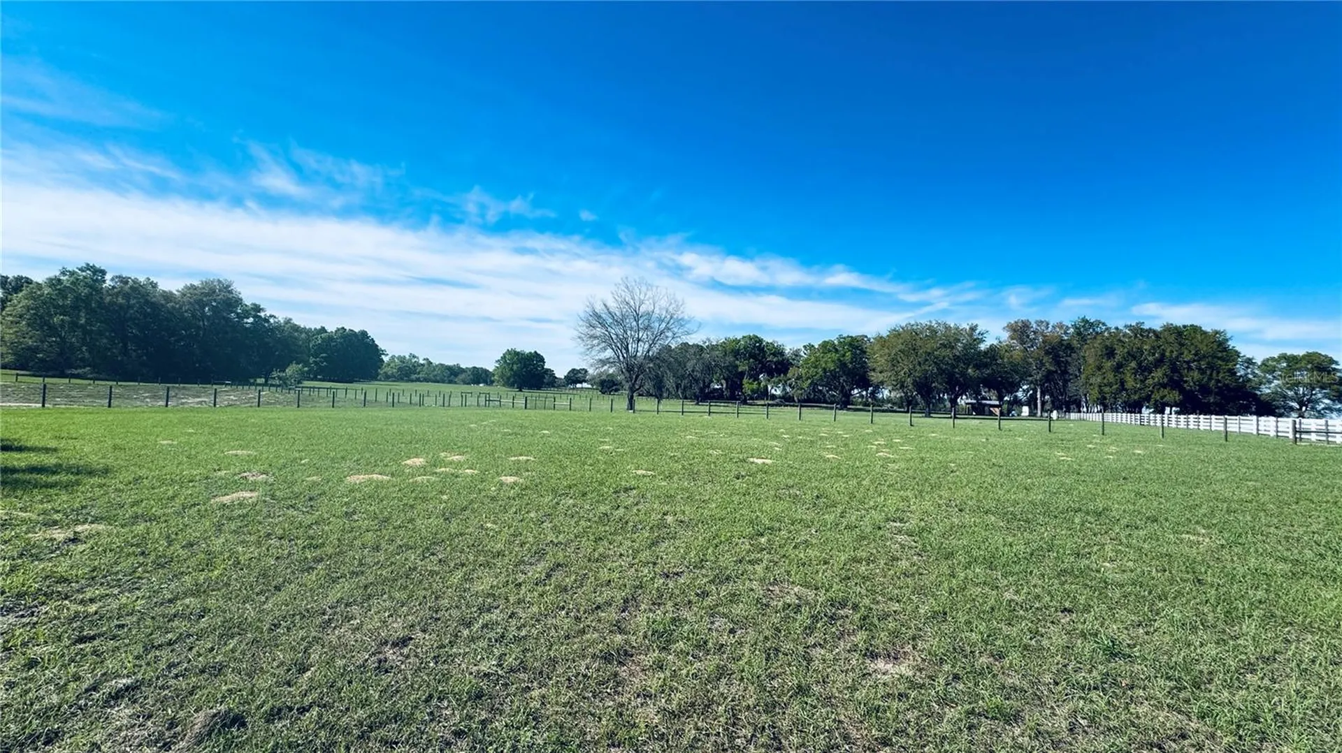 Lot #7 SE 66th Place Morriston FL 32668
