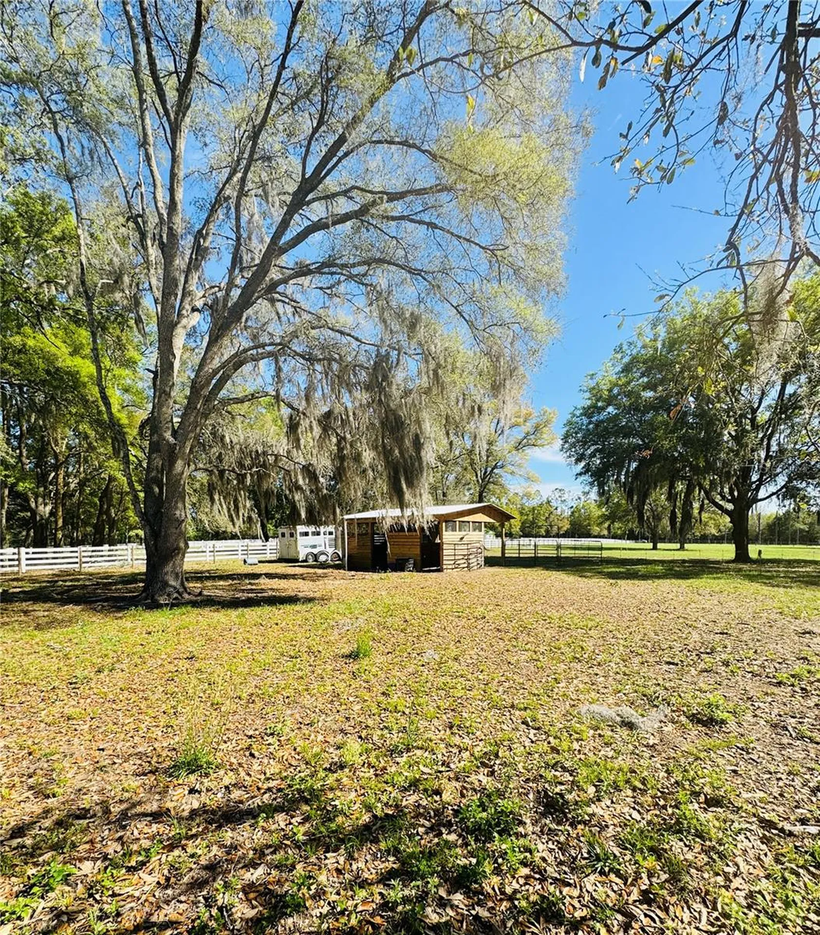 Lot #7 SE 66th Place Morriston FL 32668