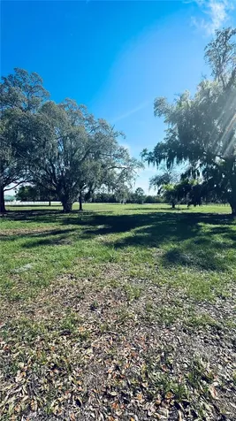 Lot #7 SE 66th Place Morriston FL 32668