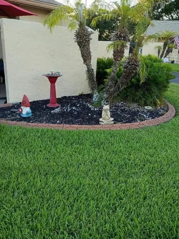 38225 Boxwood Drive Zephyrhills FL 33542