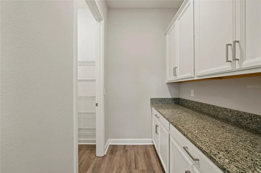 31875 Magna Gulf Loop San Antonio FL 33756