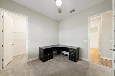 31875 Magna Gulf Loop San Antonio FL 33576