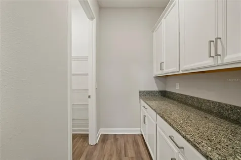 31875 Magna Gulf Loop San Antonio FL 33576